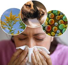 Домашни – Бабини лекови за алергии