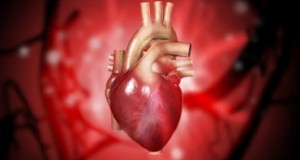 Измислен фластер за срцеви заболувања