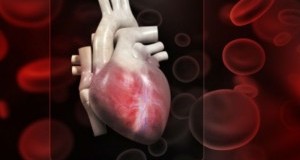 ФРАНЦИЈА: Одобрена трансплантација на вештачко срце