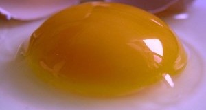 Жолчката од јајцето – штетна за артериите