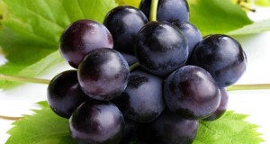 Семките од грозје поефикасни од хемотерапија?