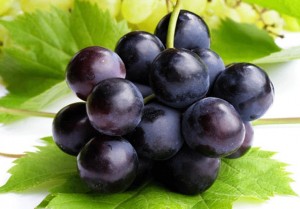 imagery_grapes-1.gif630