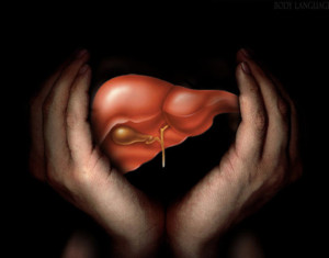 liver-protection-300x235