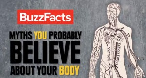 Митови за нашето тело во кои најчесто веруваме – Видео