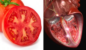 07-Tomato-HeartFoods-That-Look-Like-Body-Parts-1-300x177