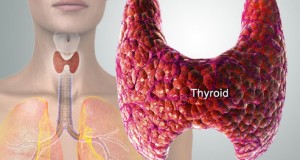 Како да препознаете дека имате проблеми со штитната жлезда – тироидата