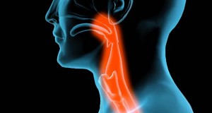 Ве боли грлото – болката може да доаѓа од друго место, да е заболен друг орган