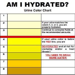 Urine-chart-300x297