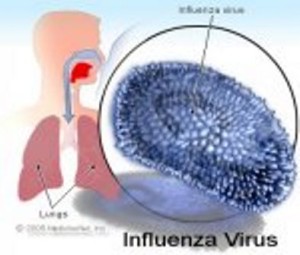 influenza_virus-300x255