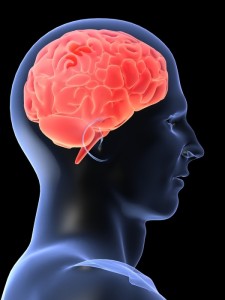 Вежби за мозокот: Како да го подобрите помнењето и да ја сочувате бистрината на умот