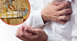 Во древната медицина е спасот – лек од времето на фараоните лекува срце