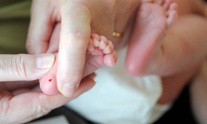 Newborn baby - heel prick test