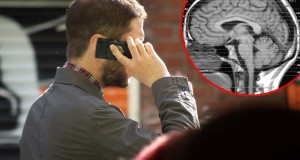 Потврдено: Од мобилен телефон може да добиете рак на мозокот