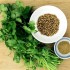 КОРИЈАНДЕР – го смирува желудникот,  ја регулира функцијата на цревата