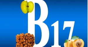 Свет без рак со витаминот Б17