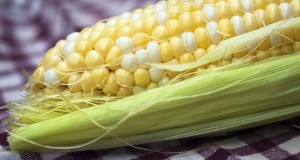 Спасете се од циститот – Домашен лек од пченка