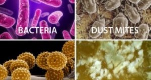 СЗО објави листа на најопасни бактерии- погледнете кои се