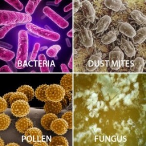 inside-air-duct-pollen-dustmite klima bakterii