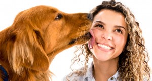 Домашните миленици не смеат да ве лижат по лице – пренесуваат инфекции