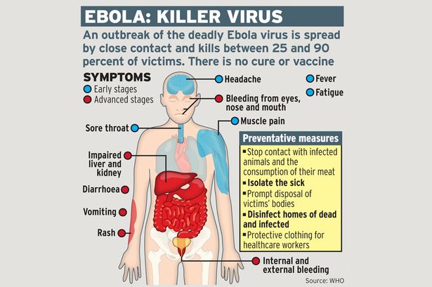 ebola-graphic