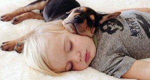 Спиењето на животинска кожа спречува појава на астма кај децата