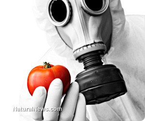 Science-GMO-Tomato-Gasmask